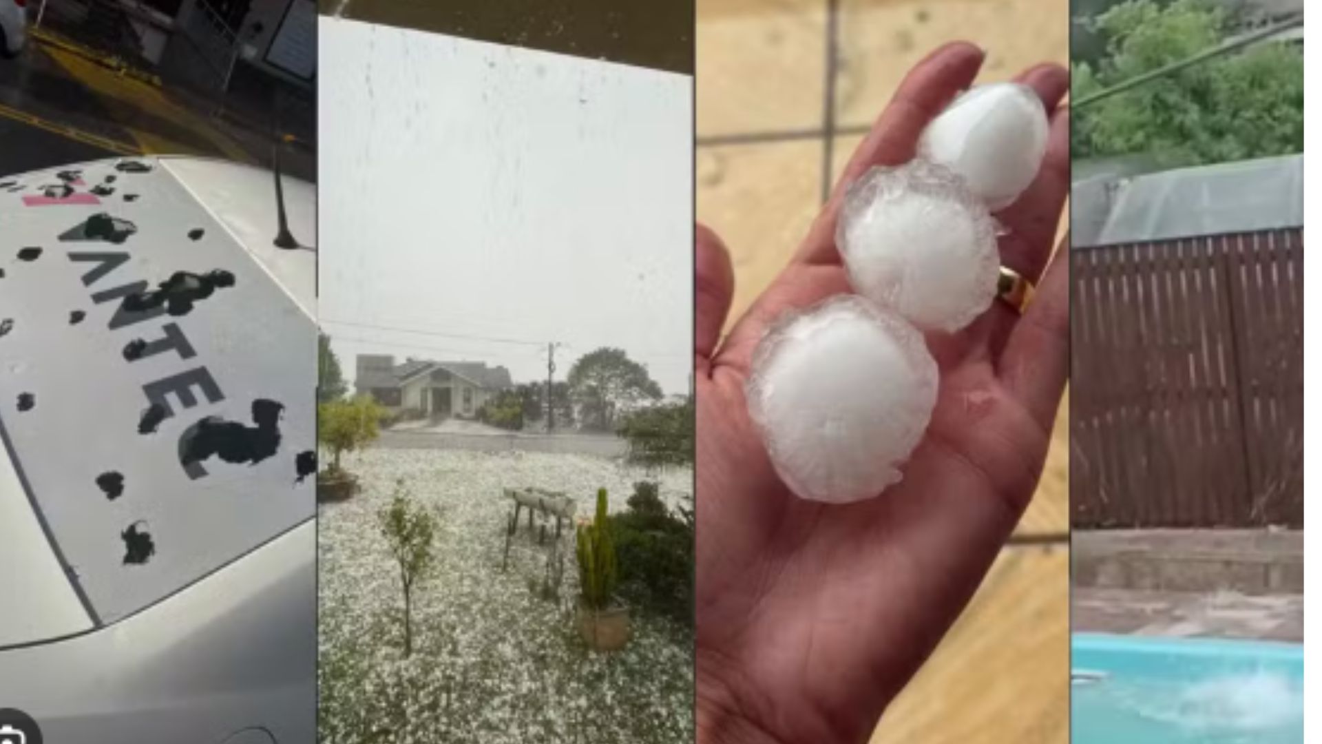 Advogado de Seguros Negados - Erechim / RS - Martinhago Advocacia | Advogados Especialistas em Defesa dos Seus Direitos